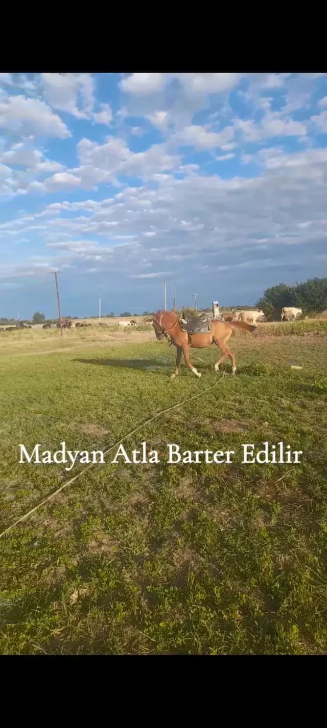 At