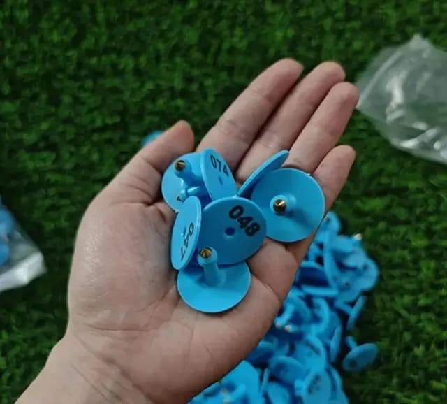 Maldarçılıq üçün plastik qulaq nişanları