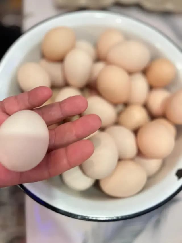 Kənd yumurtası