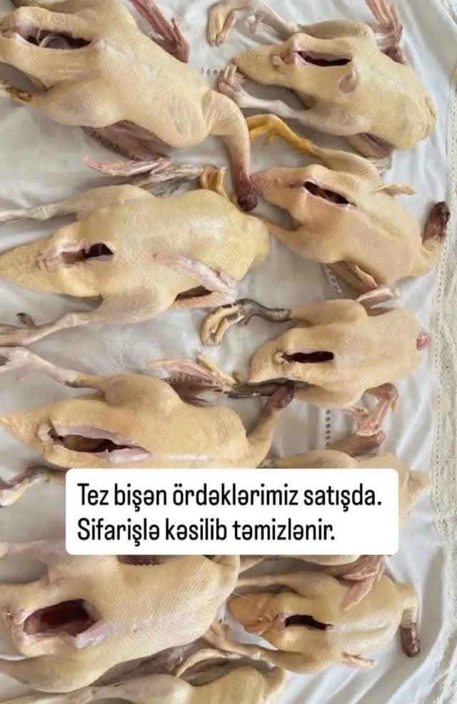 Ördək