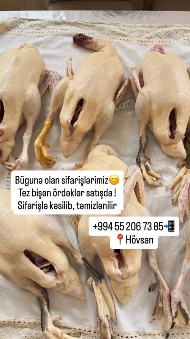 Ördək əti