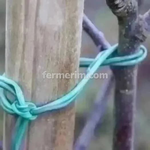 Ağac bağlamaq üçün agro rezin italiya — фото 3