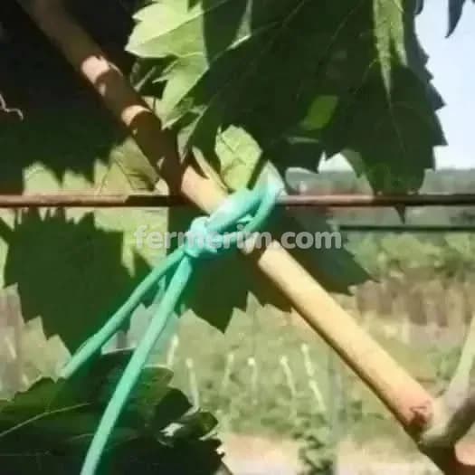 Ağac bağlamaq üçün agro rezin italiya — фото 4