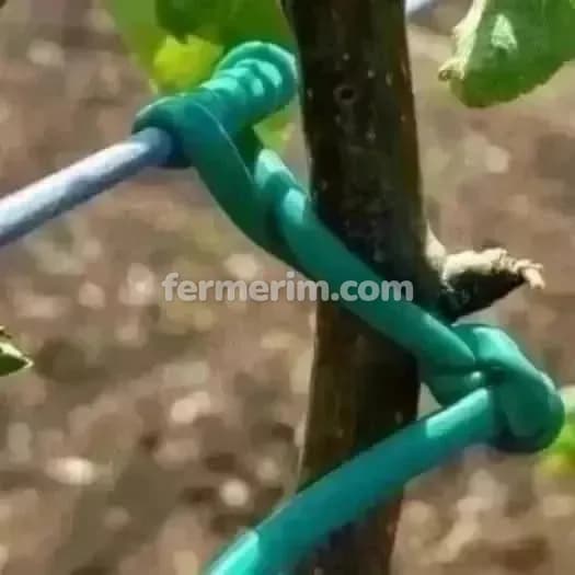 Ağac bağlamaq üçün agro rezin italiya — фото 2