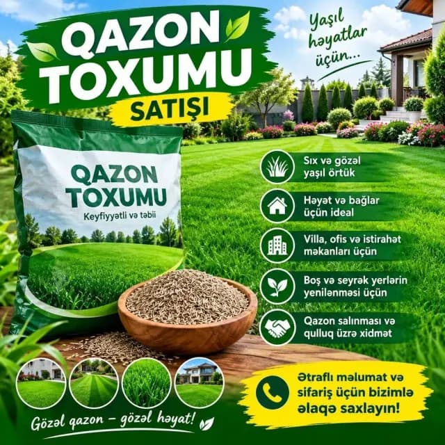 Qazon toxumu