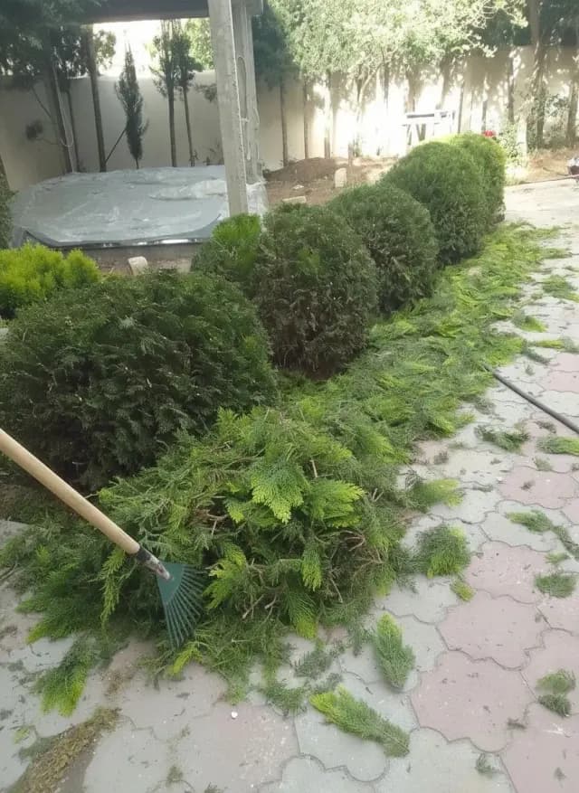 Bağban xidməti