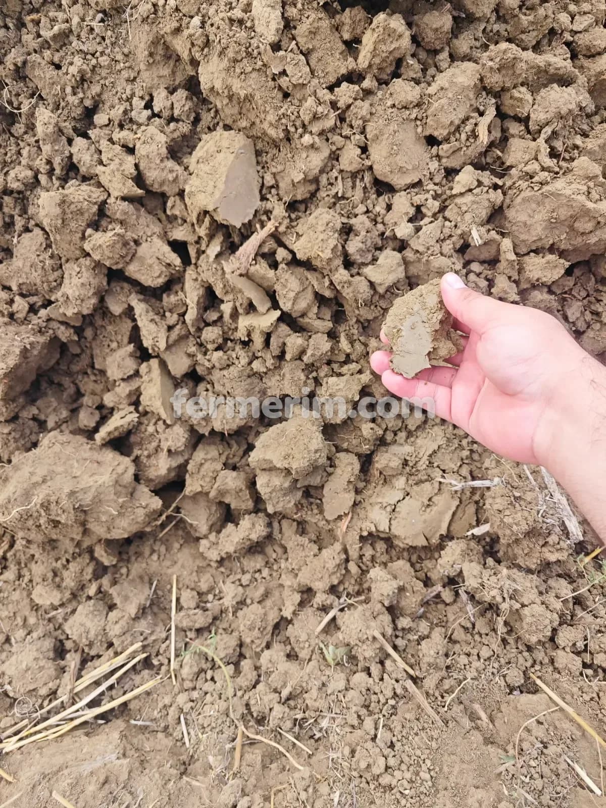 Torpaq — şəkil 2