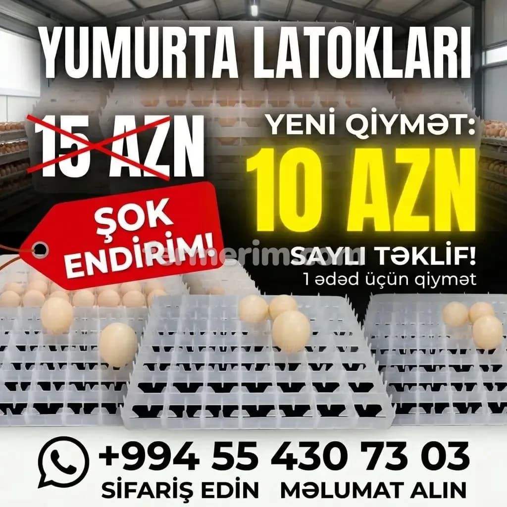 Yumurta lotoku — şəkil 1