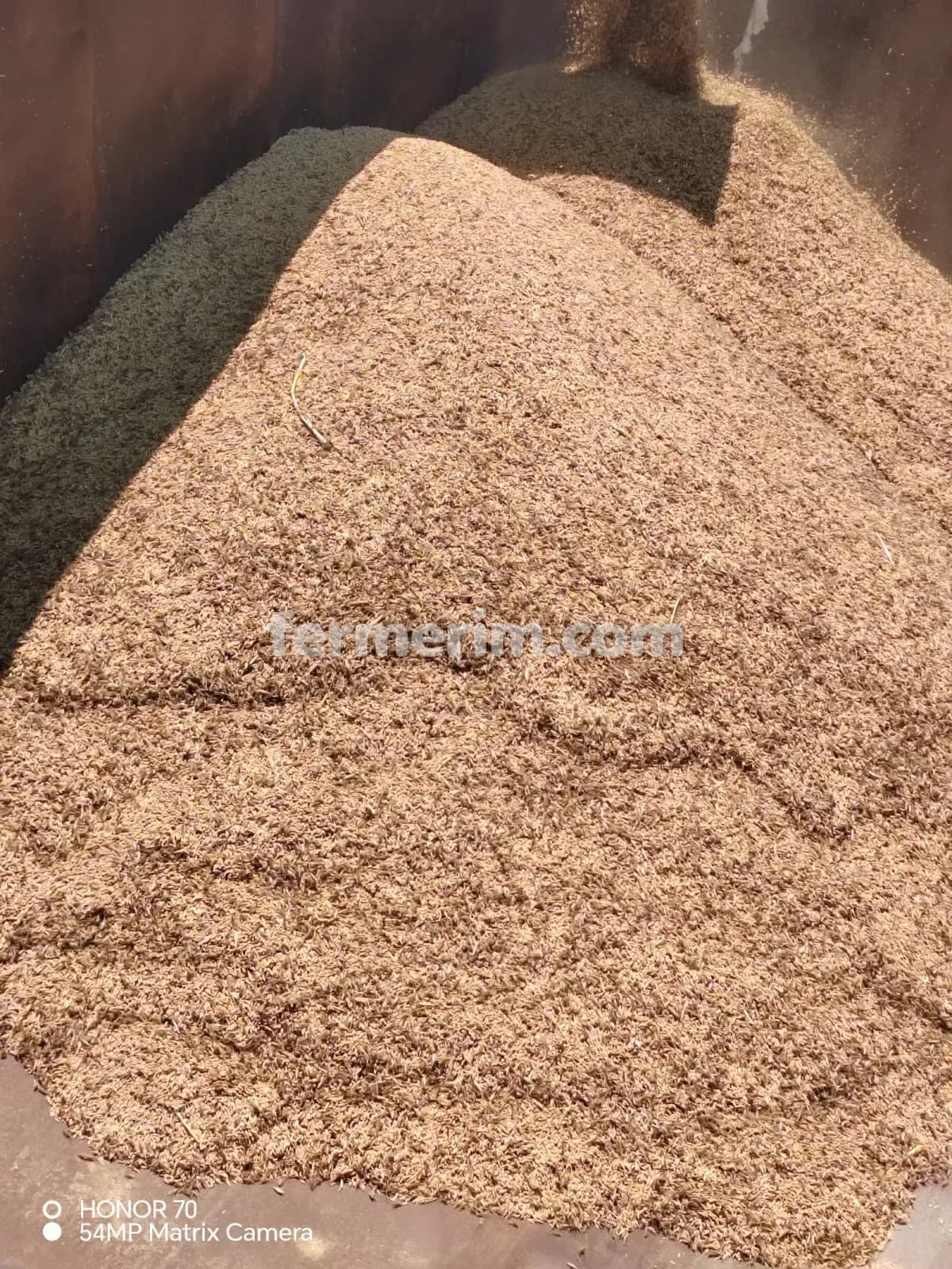 Arpa — photo 1