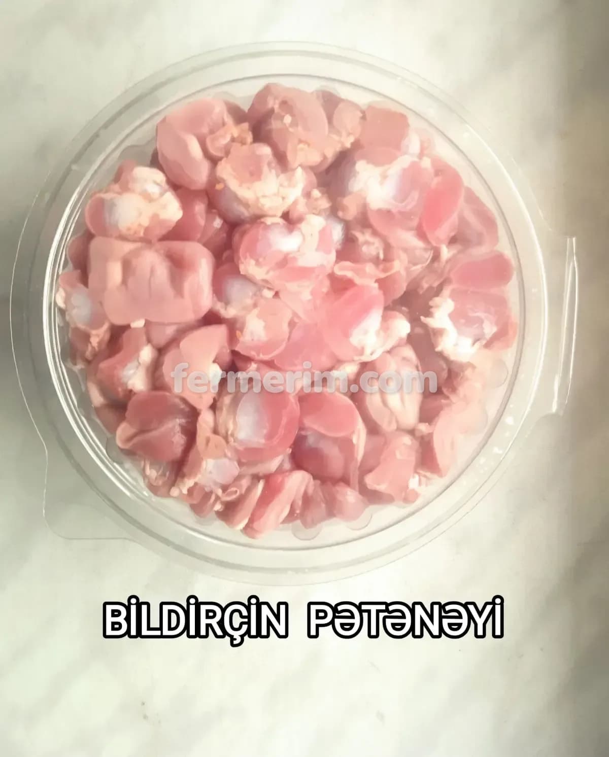 Bildirçin — şəkil 9