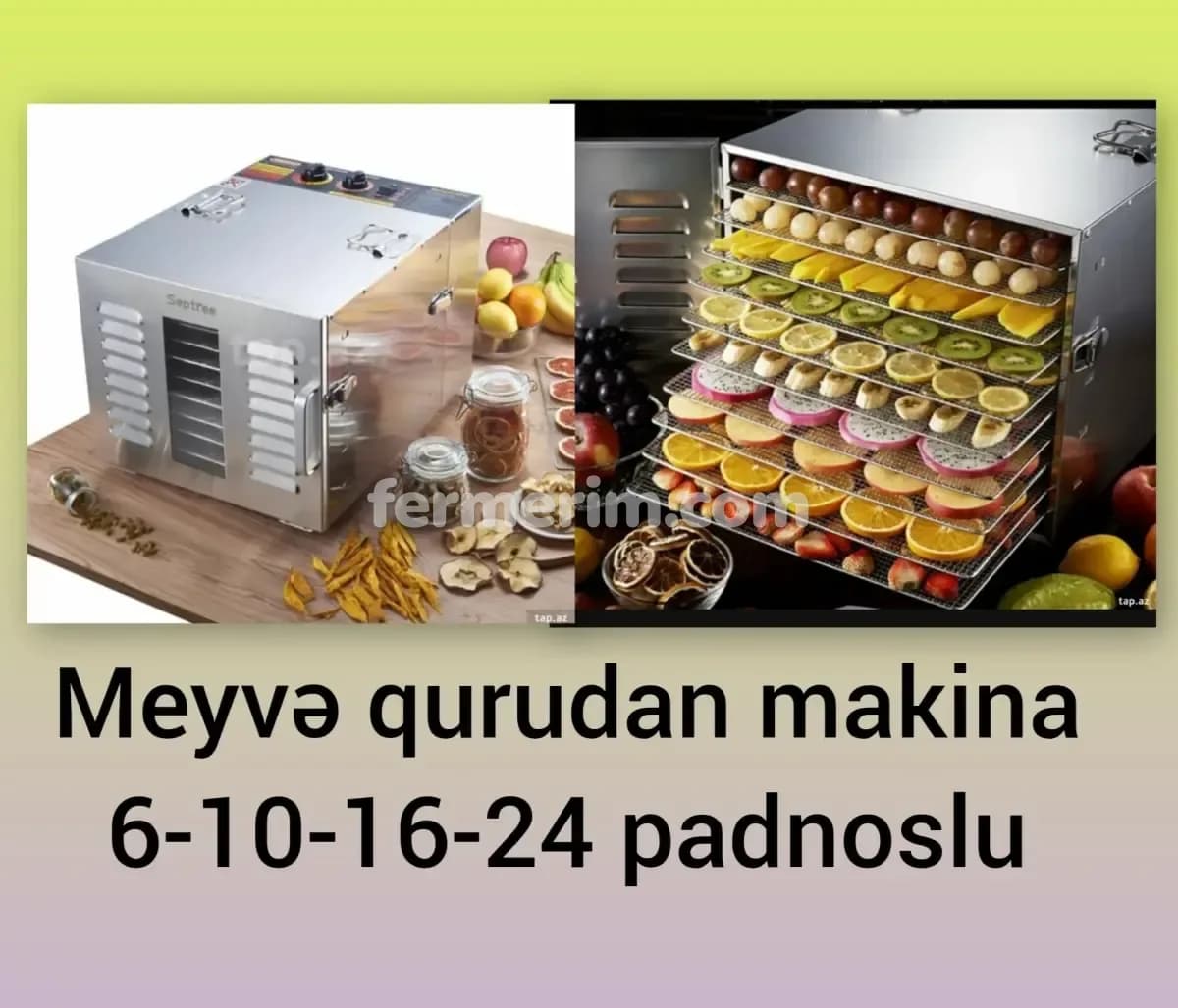Quru meyvə aparatı — şəkil 3