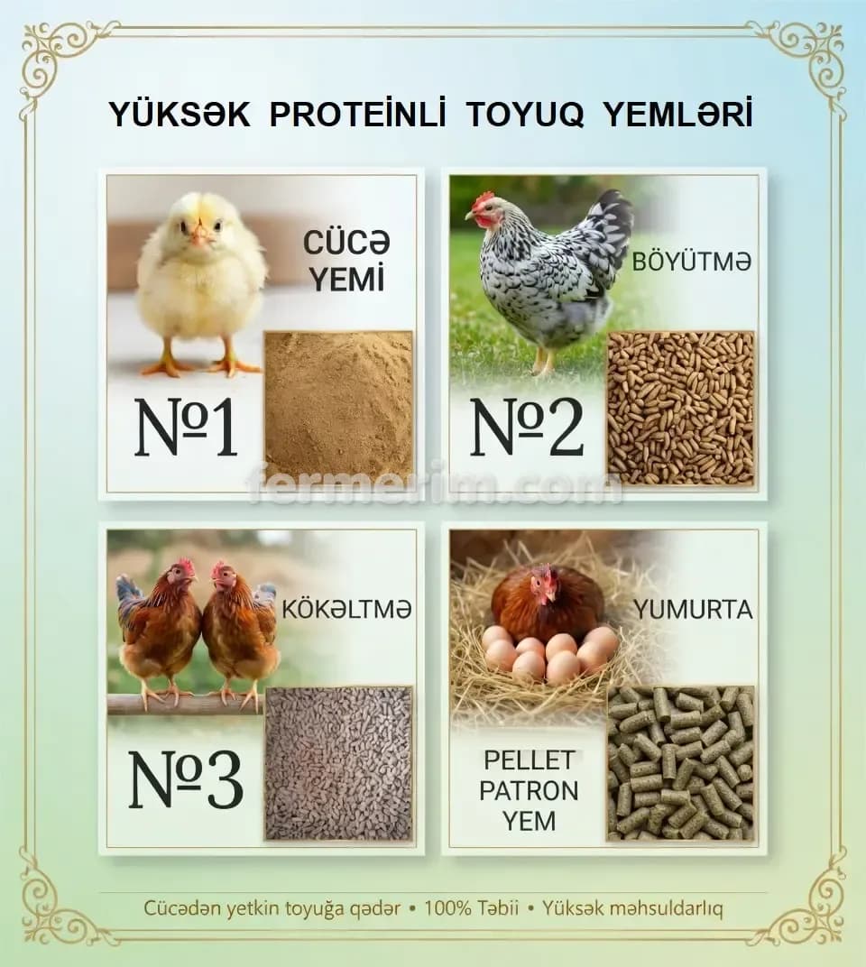 Yem — şəkil 1