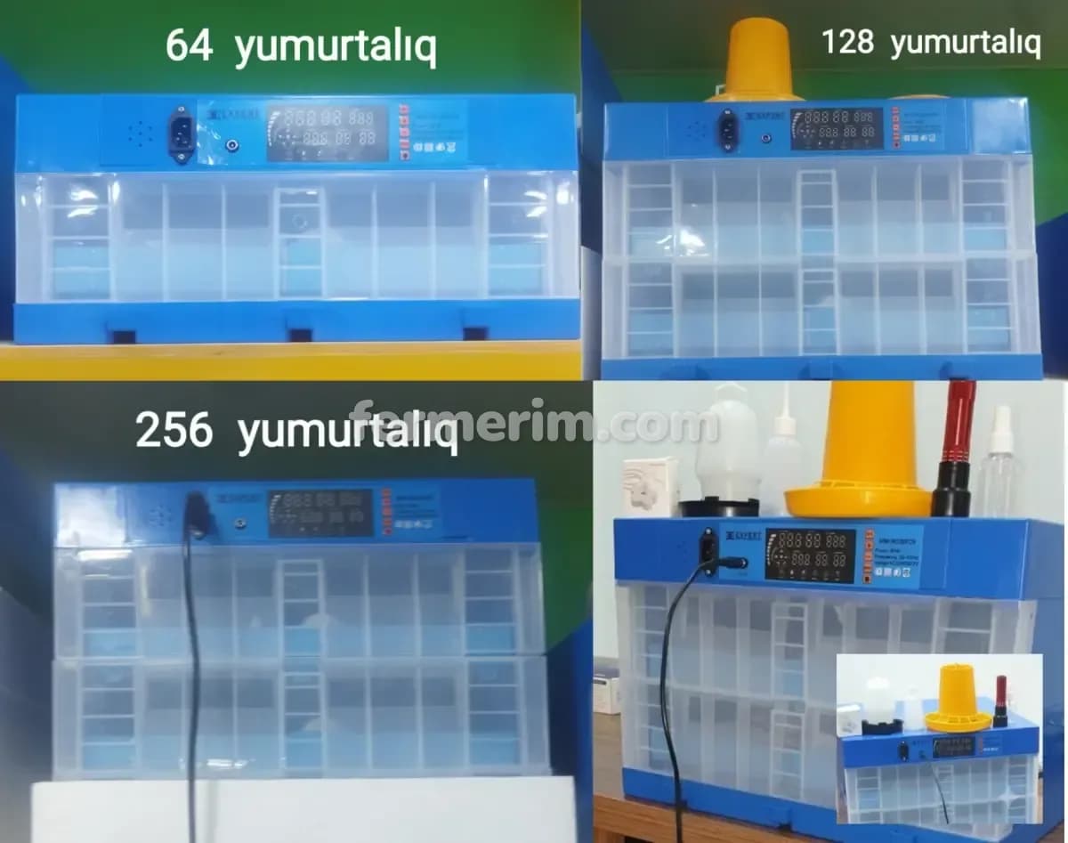 İnkubator — şəkil 4