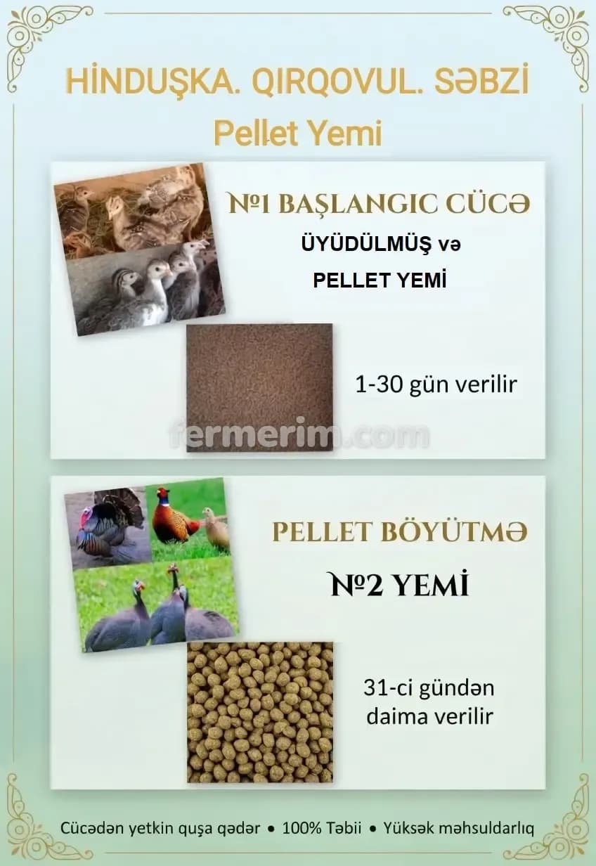 Yem — şəkil 2