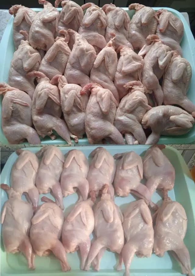 Bildirçin