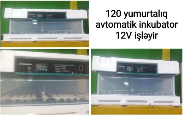 İnkubator