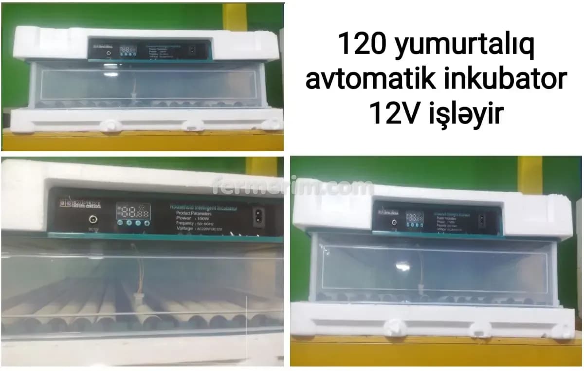 İnkubator — şəkil 1