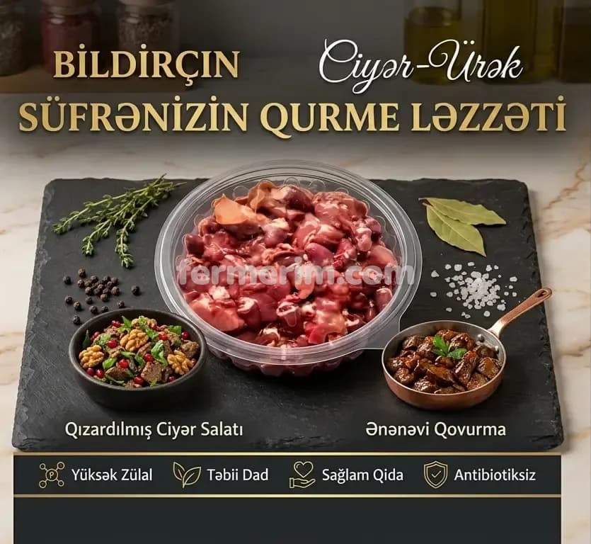 Bildirçin — şəkil 4