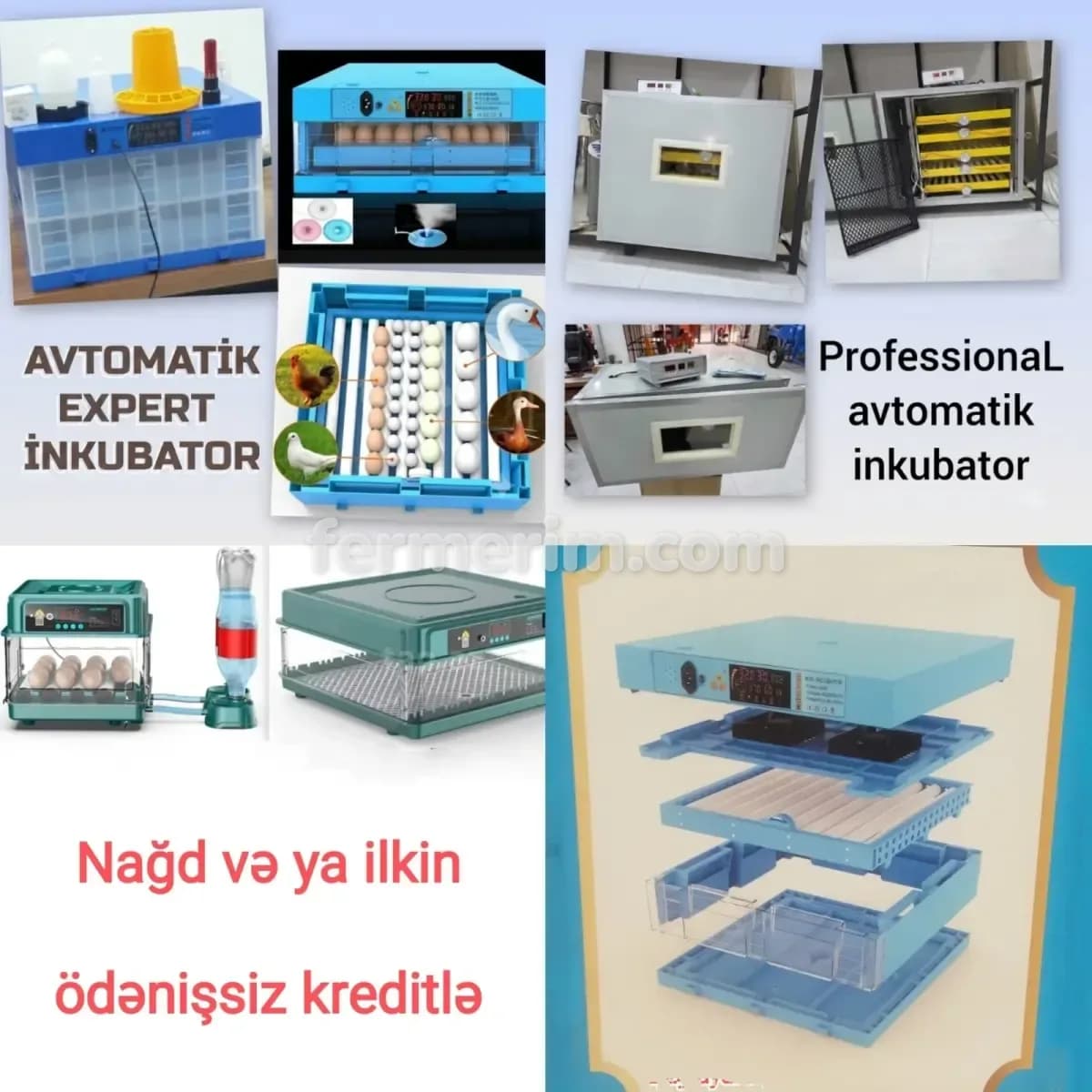 İnkubator — şəkil 3