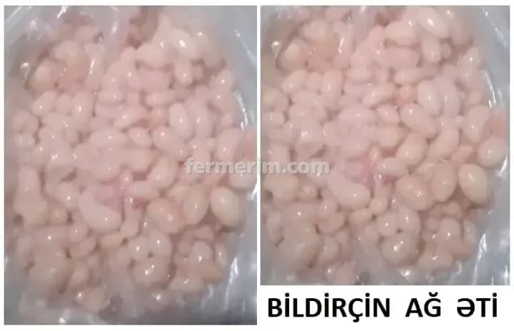 Bildirçin — şəkil 7