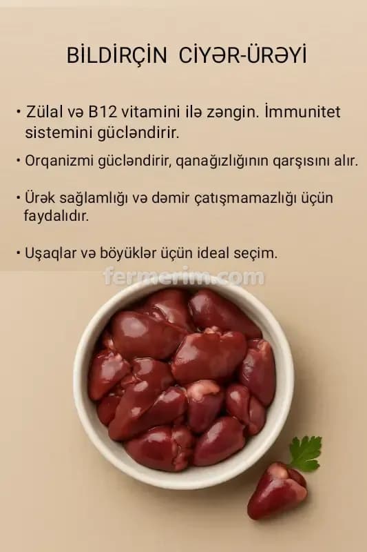 Bildirçin — şəkil 6