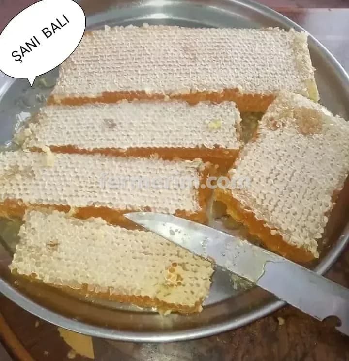Bal — şəkil 7