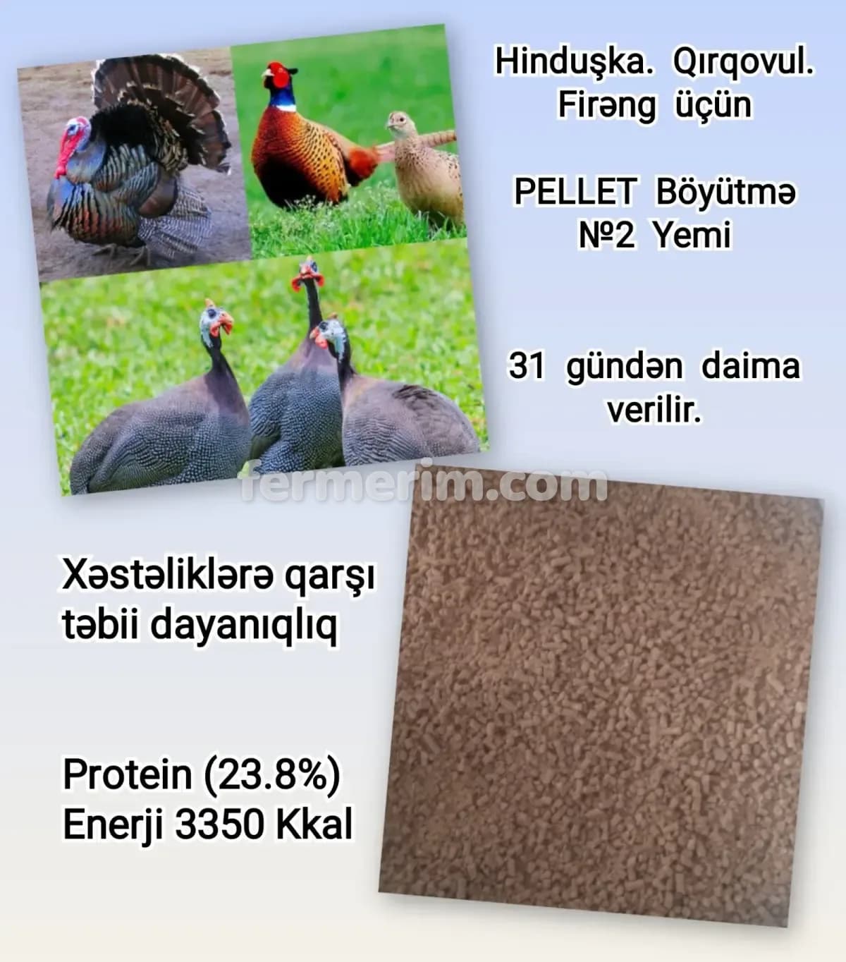 Yem — şəkil 4