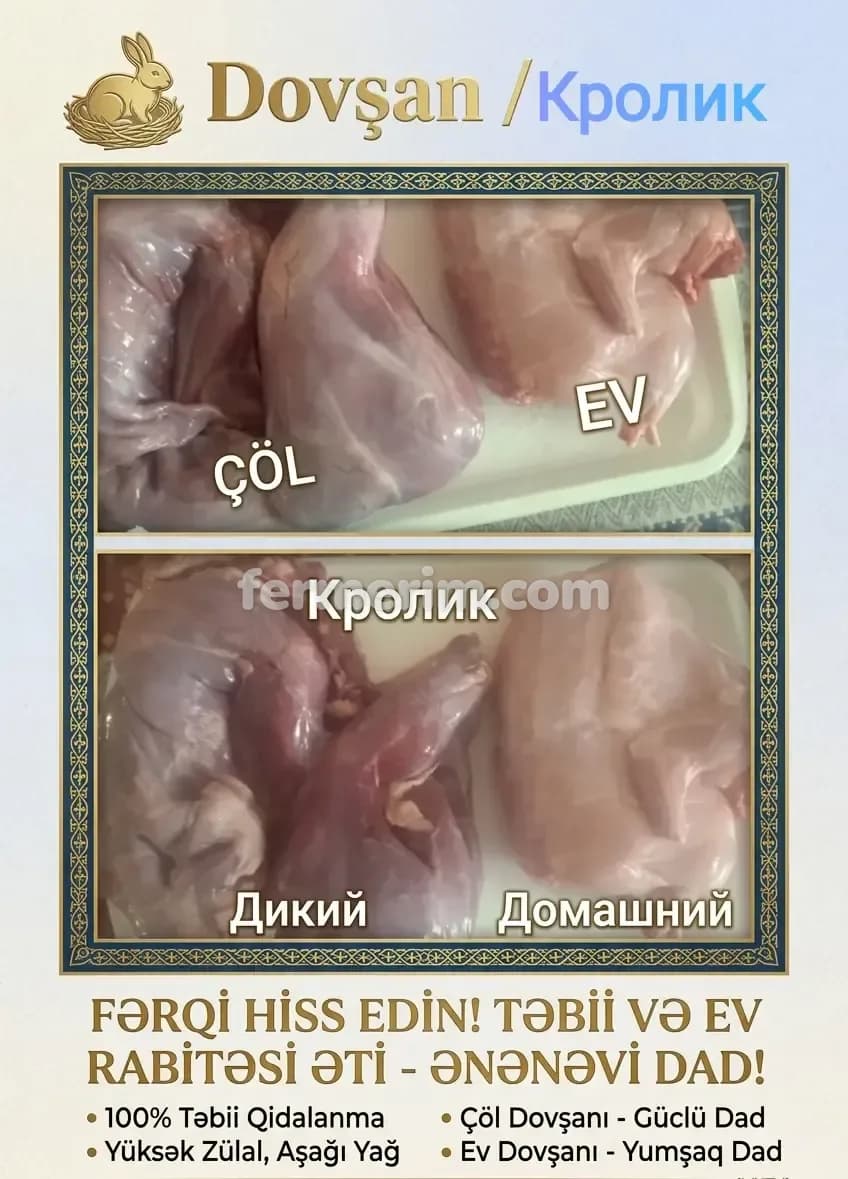 Dovşan əti — şəkil 1