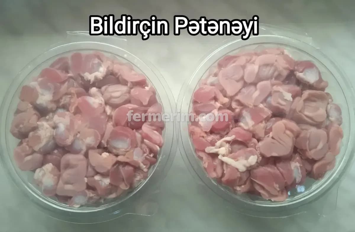 Bildirçin — şəkil 10