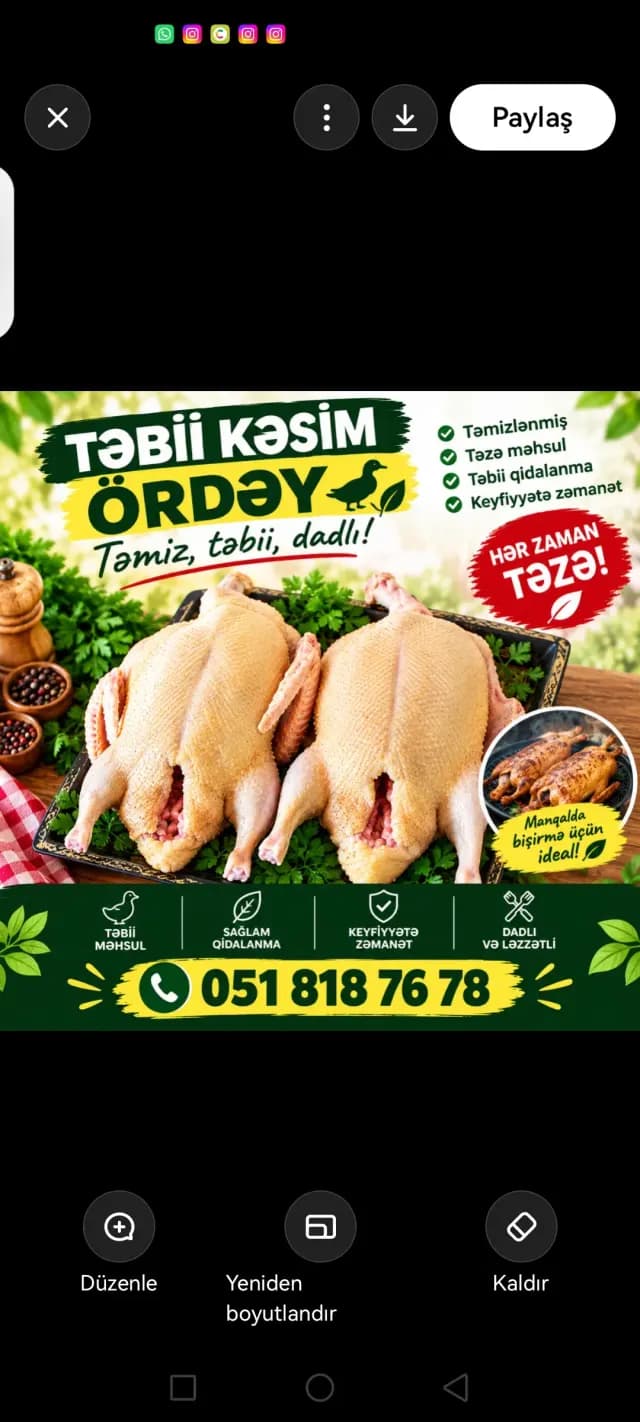 Ördək əti