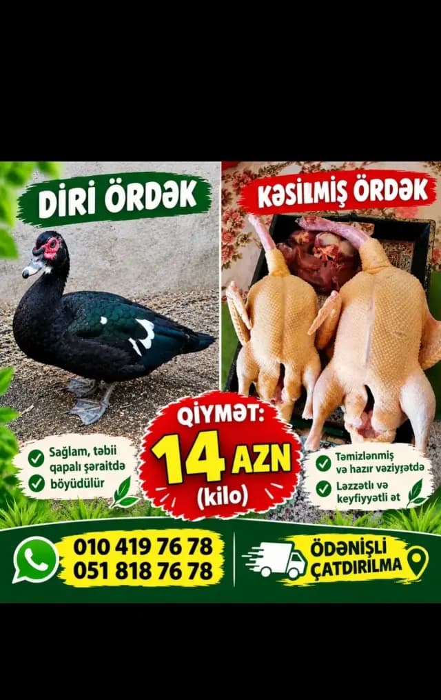Ördək əti
