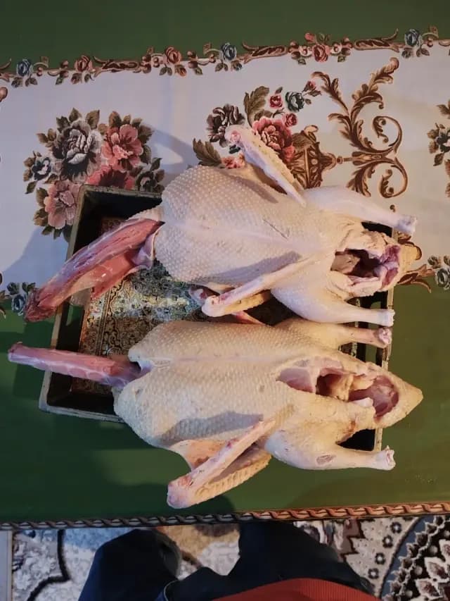 Ördək