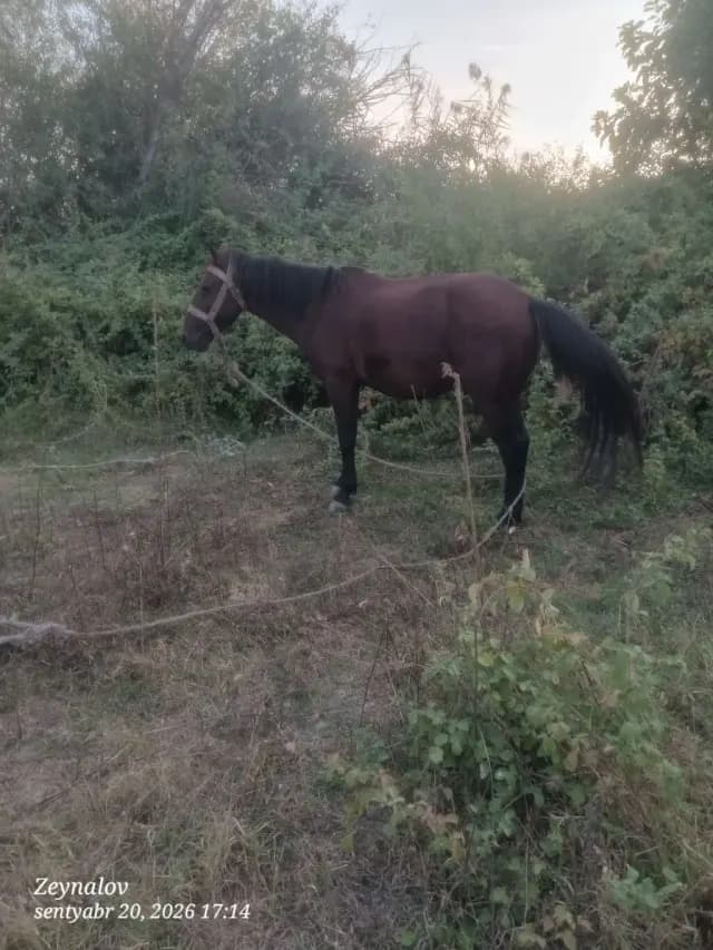 At
