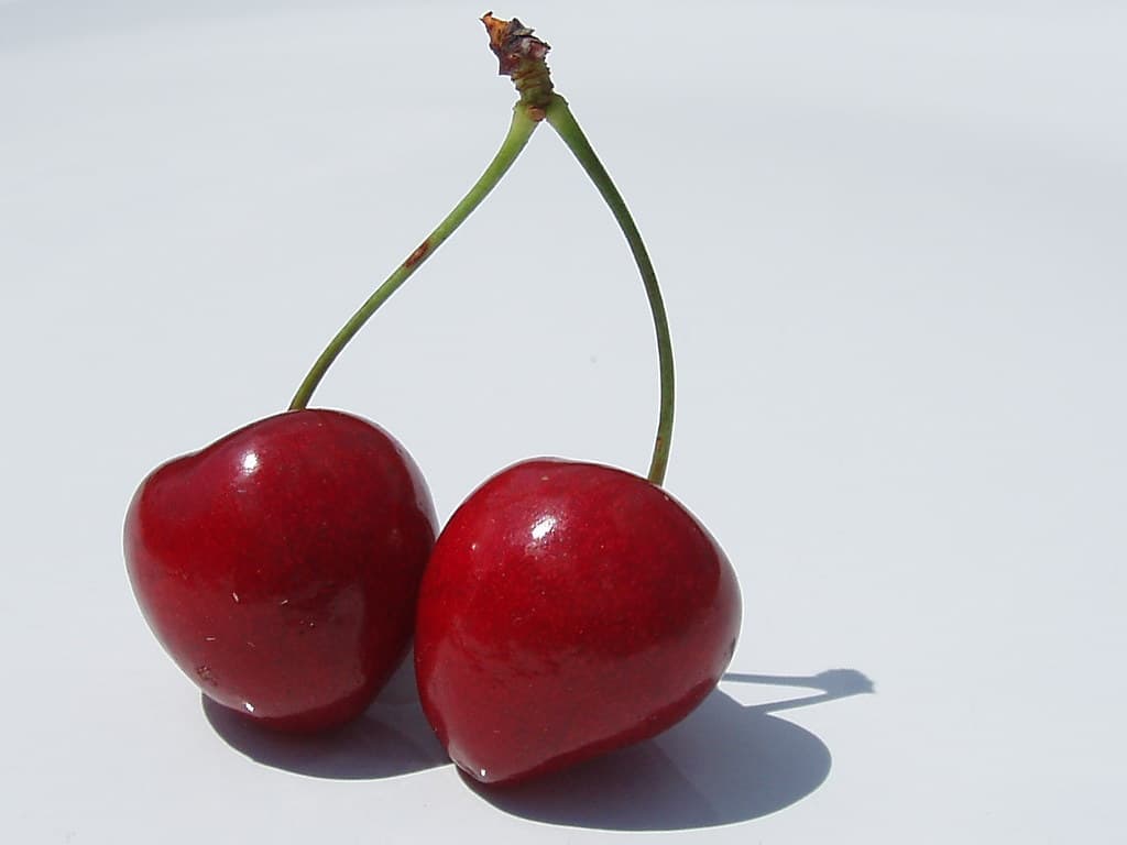 Gilas, qara iri