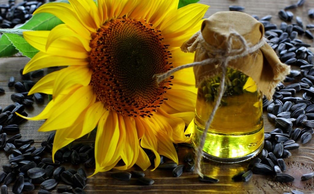 Soyuq sıxım günəbaxan yağı