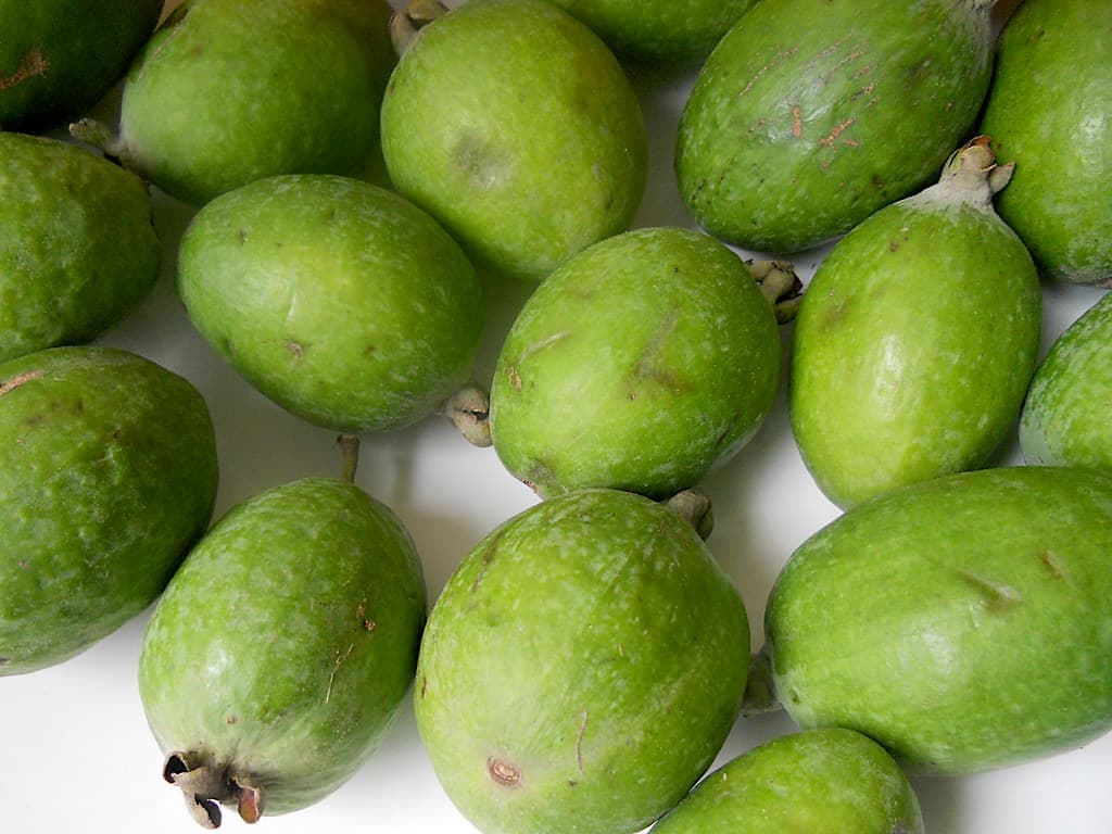 Lənkəran feyxoası, təzə yığım