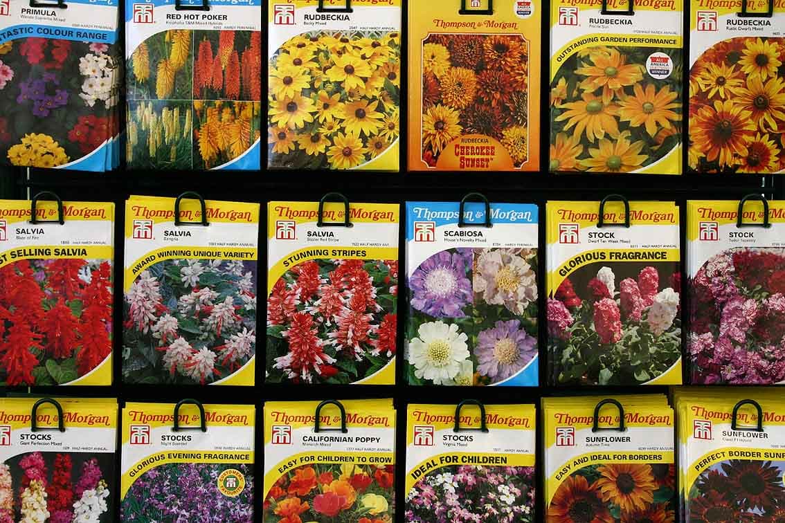 Qazon toxumu, kölgəyə davamlı qarışıq, 1 kq paket