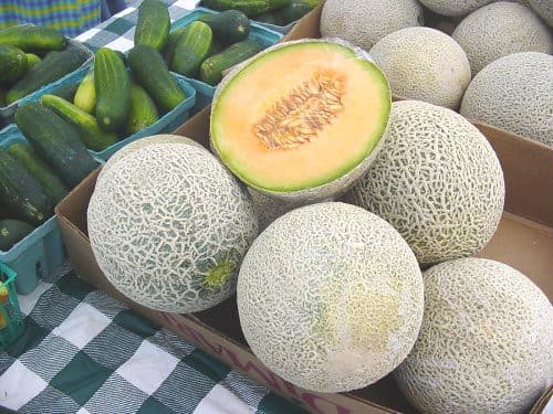 Yemiş (Ağ gülabı)