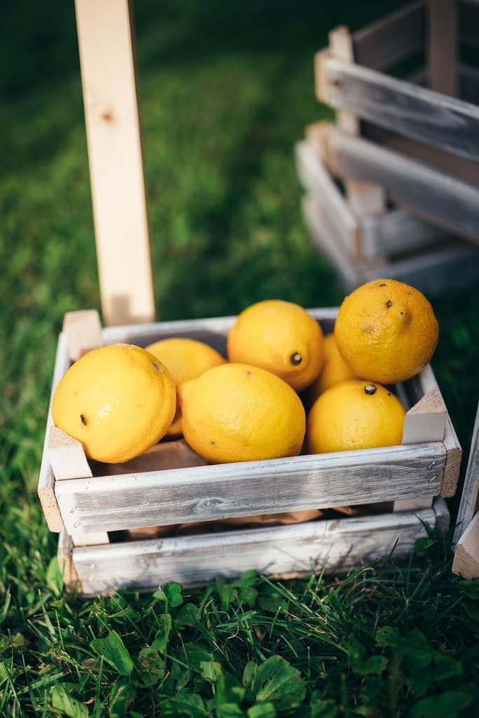 Lənkəran limonu, mağazadan — kiloya