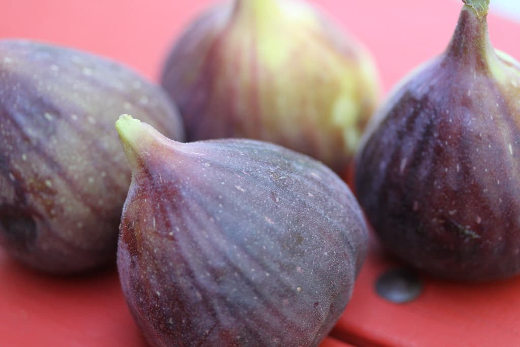 Sarı əncir, Şamaxı — bağdan, yığım günü