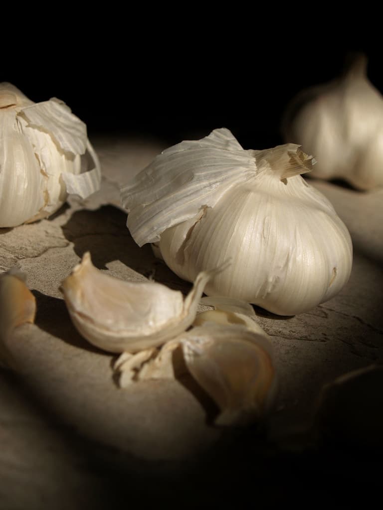 Dağ sarımsağı